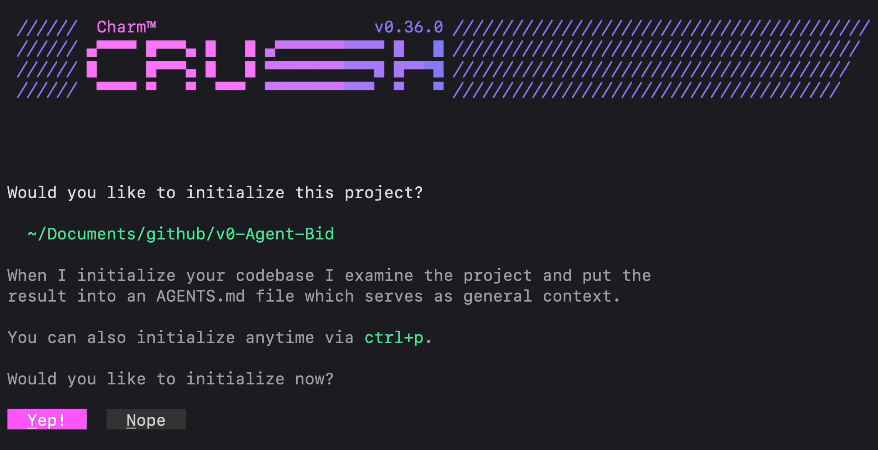 Confirm project initialization (optional).